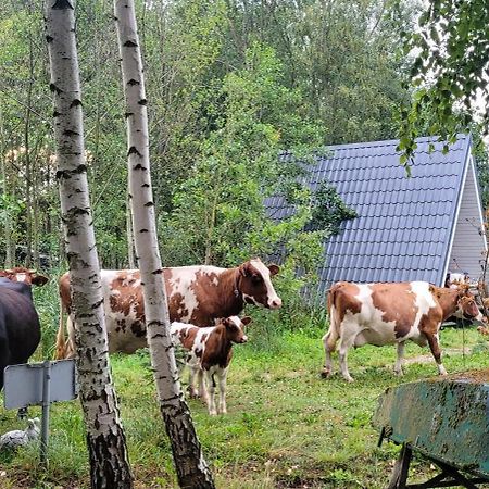 Vigio Brasta camping Hotel Elektrenai Esterno foto